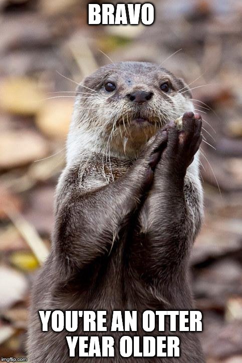 Slow-Clap Otter | BRAVO; YOU'RE AN OTTER YEAR OLDER | image tagged in slow-clap otter | made w/ Imgflip meme maker