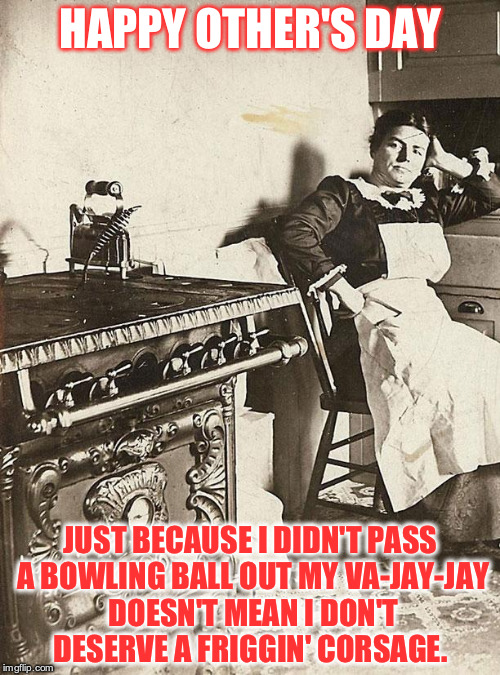 victorian kitchen | HAPPY OTHER'S DAY; JUST BECAUSE I DIDN'T PASS A BOWLING BALL OUT MY VA-JAY-JAY DOESN'T MEAN I DON'T DESERVE A FRIGGIN' CORSAGE. | image tagged in victorian kitchen | made w/ Imgflip meme maker