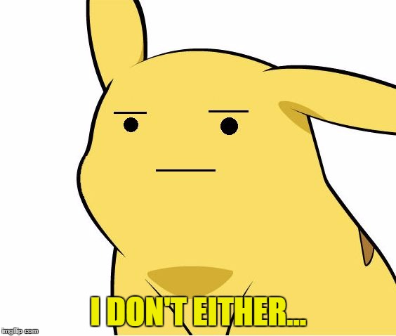 Pikachu Is Not Amused | I DON'T EITHER... | image tagged in pikachu is not amused | made w/ Imgflip meme maker