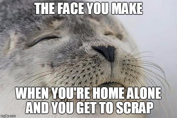 Satisfied Seal Meme | THE FACE YOU MAKE; WHEN YOU'RE HOME ALONE AND YOU GET TO SCRAP | image tagged in memes,satisfied seal | made w/ Imgflip meme maker