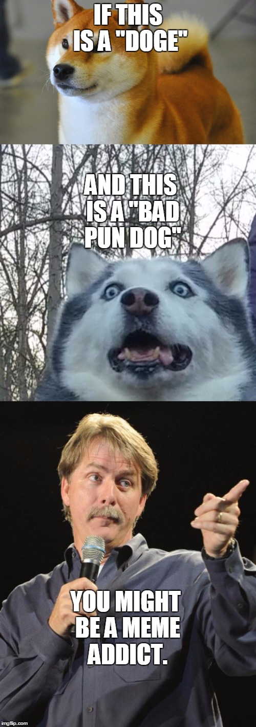 just possibly | IF THIS IS A "DOGE"; AND THIS IS A "BAD PUN DOG"; YOU MIGHT BE A MEME ADDICT. | image tagged in doge,bad pun dog,husky,jeff foxworthy,you might be a meme addict,memes | made w/ Imgflip meme maker
