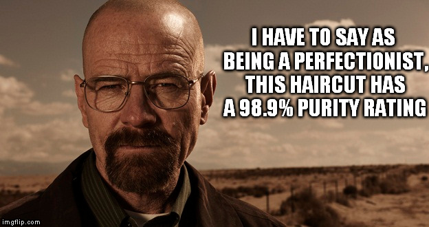 I HAVE TO SAY AS BEING A PERFECTIONIST, THIS HAIRCUT HAS A 98.9% PURITY RATING | made w/ Imgflip meme maker