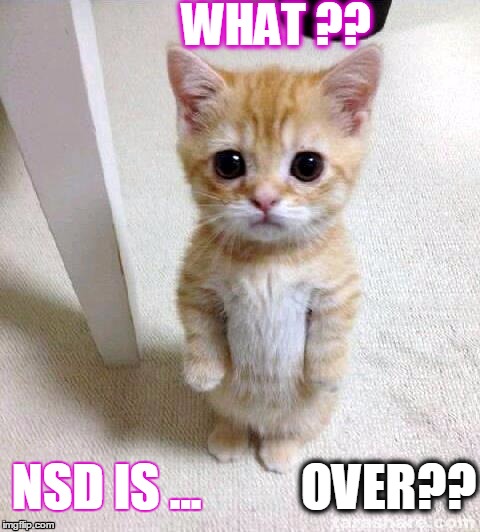 Cute Cat Meme | WHAT ?? NSD IS ... OVER?? | image tagged in memes,cute cat | made w/ Imgflip meme maker