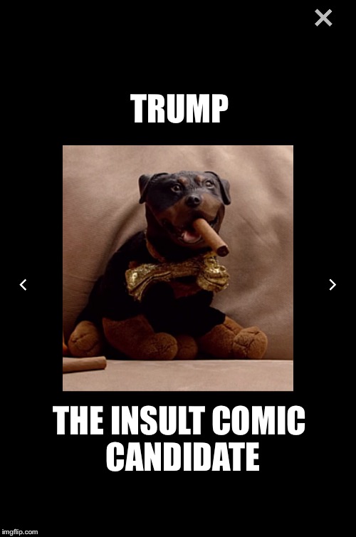 An insult to all insult comic dogs | TRUMP; THE INSULT COMIC CANDIDATE | image tagged in trump 2016 | made w/ Imgflip meme maker