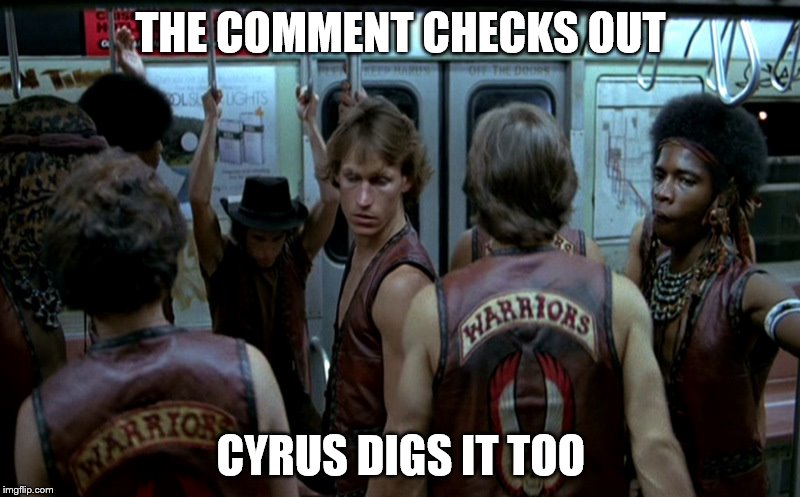 THE COMMENT CHECKS OUT CYRUS DIGS IT TOO | made w/ Imgflip meme maker