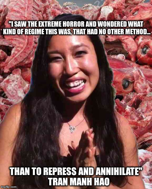 "I SAW THE EXTREME HORROR AND WONDERED WHAT KIND OF REGIME THIS WAS, THAT HAD NO OTHER METHOD... THAN TO REPRESS AND ANNIHILATE"    TRAN MANH HAO | image tagged in bony blogilates | made w/ Imgflip meme maker