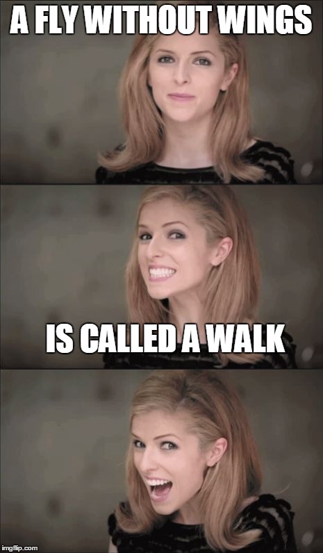 Bad Pun Anna Kendrick | A FLY WITHOUT WINGS; IS CALLED A WALK | image tagged in memes,bad pun anna kendrick | made w/ Imgflip meme maker