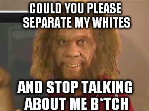 COULD YOU PLEASE SEPARATE MY WHITES AND STOP TALKING ABOUT ME B*TCH | made w/ Imgflip meme maker