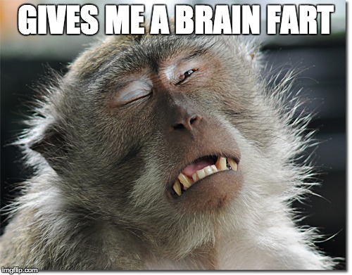 When I think too much about memes  | GIVES ME A BRAIN FART | image tagged in memes | made w/ Imgflip meme maker