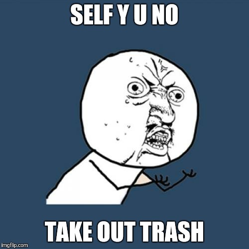 Y U No Meme | SELF Y U NO TAKE OUT TRASH | image tagged in memes,y u no | made w/ Imgflip meme maker