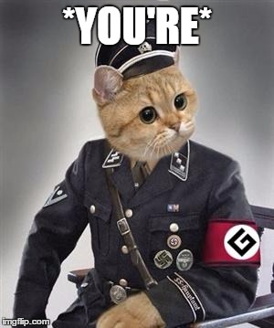 grammar nazi cat | *YOU'RE* | image tagged in grammar nazi cat | made w/ Imgflip meme maker