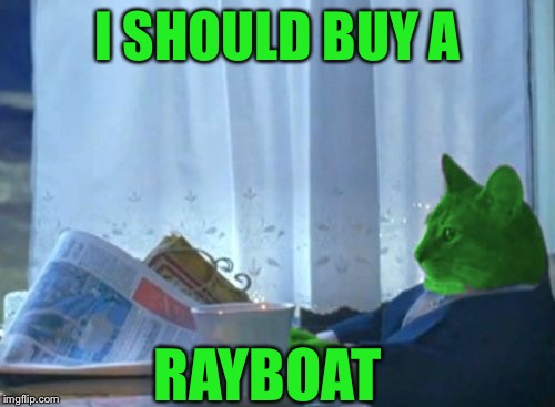 I should buy a RayBoat | I SHOULD BUY A; RAYBOAT | image tagged in i should buy a boat raycat,memes | made w/ Imgflip meme maker