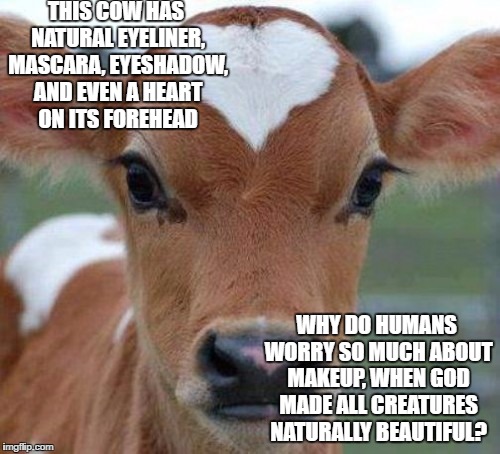 Naturally Beautiful | THIS COW HAS NATURAL EYELINER, MASCARA, EYESHADOW, AND EVEN A HEART ON ITS FOREHEAD; WHY DO HUMANS WORRY SO MUCH ABOUT MAKEUP, WHEN GOD MADE ALL CREATURES NATURALLY BEAUTIFUL? | image tagged in beautiful,animals,people | made w/ Imgflip meme maker