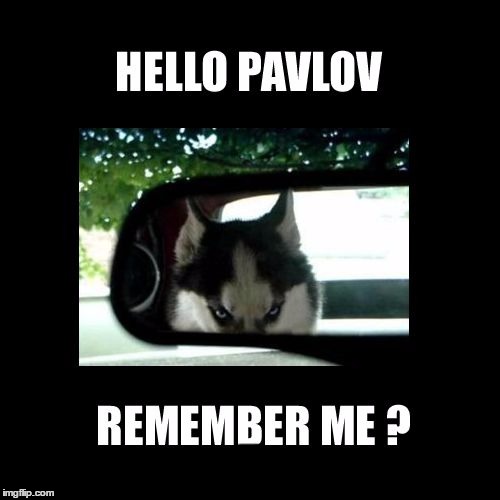 5 | made w/ Imgflip meme maker
