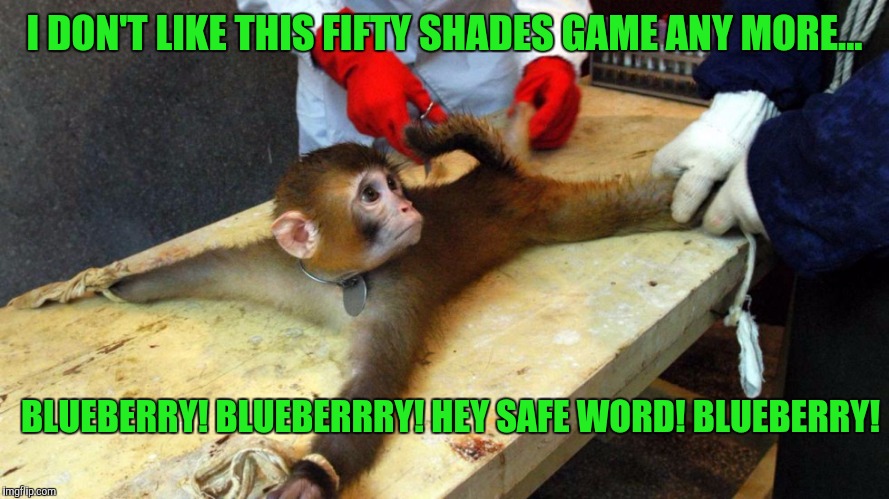 Safewords are there for a Reason. | I DON'T LIKE THIS FIFTY SHADES GAME ANY MORE... BLUEBERRY! BLUEBERRRY! HEY SAFE WORD! BLUEBERRY! | image tagged in memes,funny,50 shades of grey | made w/ Imgflip meme maker