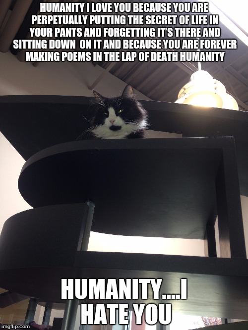 Humanity I Love you | HUMANITY I LOVE YOU BECAUSE YOU
ARE PERPETUALLY PUTTING THE SECRET OF
LIFE IN YOUR PANTS AND FORGETTING
IT’S THERE AND SITTING DOWN

ON IT
AND BECAUSE YOU ARE
FOREVER MAKING POEMS IN THE LAP
OF DEATH HUMANITY; HUMANITY....I HATE YOU | image tagged in e e cummings | made w/ Imgflip meme maker