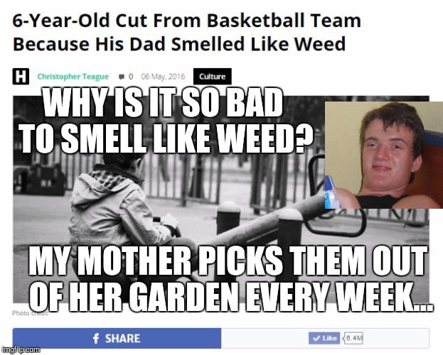 "Weed" and "weeds" confuse me... | WHY IS IT SO BAD TO SMELL LIKE WEED? MY MOTHER PICKS THEM OUT OF HER GARDEN EVERY WEEK... | image tagged in smoke weed everyday,10 guy | made w/ Imgflip meme maker