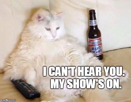 Shhh!  Phil's about to lay down the healin'! | I CAN'T HEAR YOU.  MY SHOW'S ON. | image tagged in fat cat bud light,daytime tv,no to exercise,watching tv | made w/ Imgflip meme maker