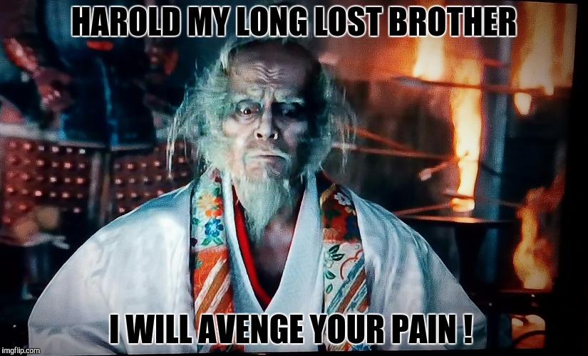 I will avenge your pain x | HAROLD MY LONG LOST BROTHER; I WILL AVENGE YOUR PAIN ! | image tagged in humor,revenge | made w/ Imgflip meme maker