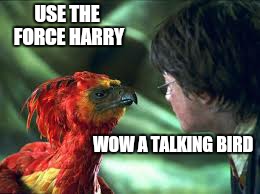i can not believe theres no butter left | USE THE FORCE HARRY; WOW A TALKING BIRD | image tagged in memes,harry potter,first world problems | made w/ Imgflip meme maker