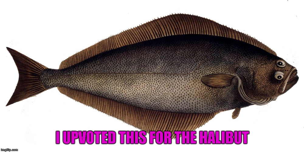 I UPVOTED THIS FOR THE HALIBUT | made w/ Imgflip meme maker