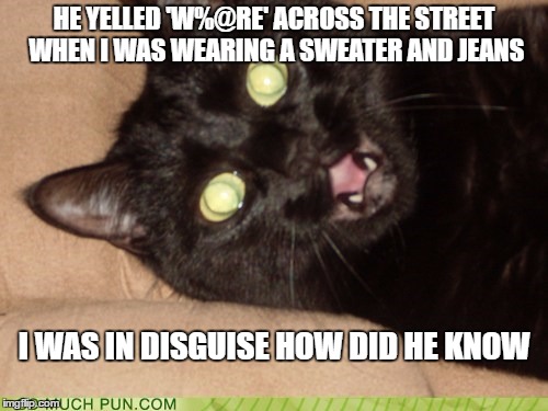 surprised cat | HE YELLED 'W%@RE' ACROSS THE STREET WHEN I WAS WEARING A SWEATER AND JEANS; I WAS IN DISGUISE HOW DID HE KNOW | image tagged in memes,funny memes,cats | made w/ Imgflip meme maker