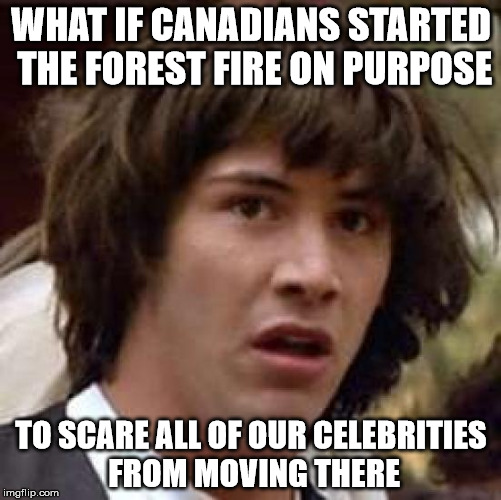Which is worse; Apocalyptic forest fire or Al Sharpton? | WHAT IF CANADIANS STARTED THE FOREST FIRE ON PURPOSE; TO SCARE ALL OF OUR CELEBRITIES FROM MOVING THERE | image tagged in memes,conspiracy keanu,al sharpton,canadian,funny memes | made w/ Imgflip meme maker