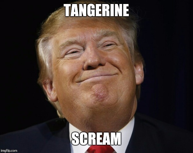 President Scream | TANGERINE; SCREAM | image tagged in president 2016,donald trump,trump 2016,trump | made w/ Imgflip meme maker