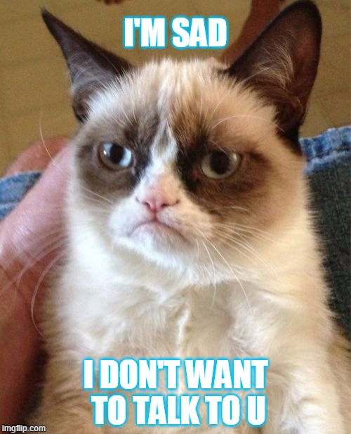 Grumpy Cat | I'M SAD; I DON'T WANT TO TALK TO U | image tagged in memes,grumpy cat | made w/ Imgflip meme maker