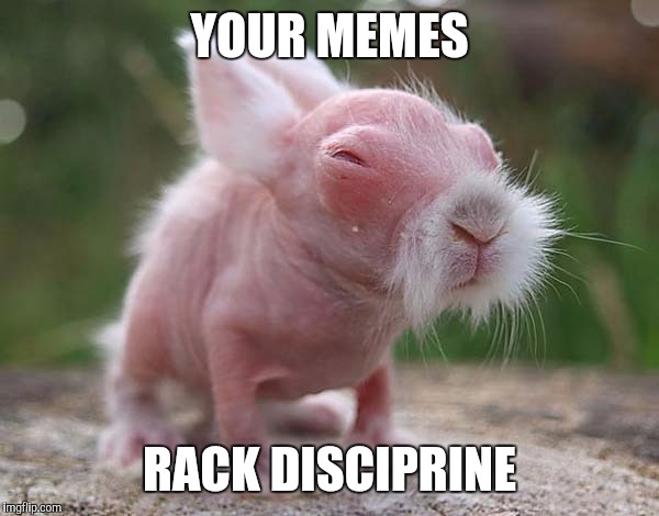  YOUR MEMES; RACK DISCIPRINE | image tagged in original meme,memes,funny memes,meme,meme war | made w/ Imgflip meme maker