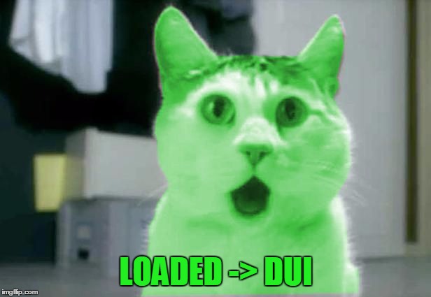 OMG RayCat | LOADED -> DUI | image tagged in omg raycat | made w/ Imgflip meme maker