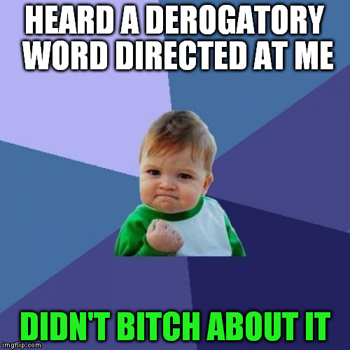 Success Kid Meme | HEARD A DEROGATORY WORD DIRECTED AT ME DIDN'T B**CH ABOUT IT | image tagged in memes,success kid | made w/ Imgflip meme maker