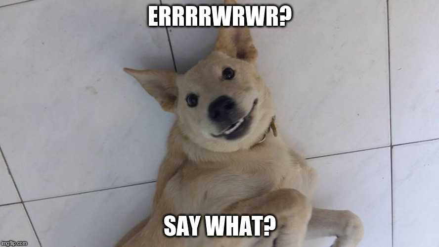 Bearmoji Say What? | ERRRRWRWR? SAY WHAT? | image tagged in bearmojihuh,say what | made w/ Imgflip meme maker