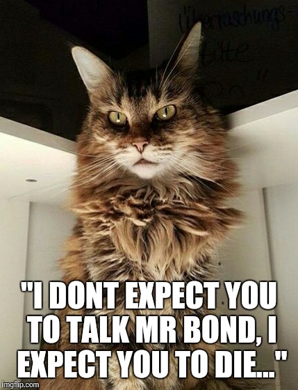 The next Bond villain... | "I DONT EXPECT YOU TO TALK MR BOND, I EXPECT YOU TO DIE..." | image tagged in memes,james bond,evil cat,laughing villains,villain | made w/ Imgflip meme maker
