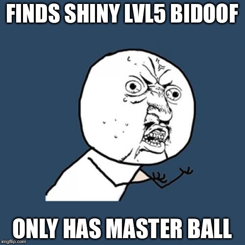 Y U No | FINDS SHINY LVL5 BIDOOF; ONLY HAS MASTER BALL | image tagged in memes,y u no | made w/ Imgflip meme maker