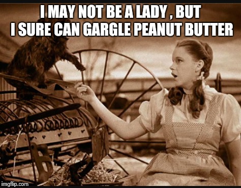 I MAY NOT BE A LADY ,
BUT I SURE CAN GARGLE PEANUT BUTTER | image tagged in oz,ladylike | made w/ Imgflip meme maker