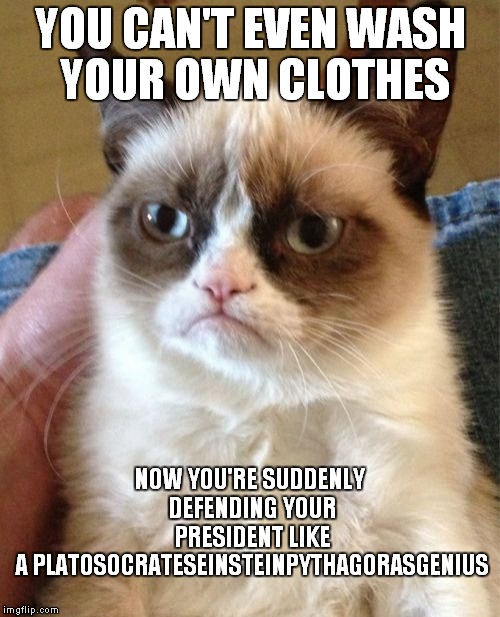 Grumpy Cat Meme | YOU CAN'T EVEN WASH YOUR OWN CLOTHES; NOW YOU'RE SUDDENLY DEFENDING YOUR PRESIDENT LIKE A PLATOSOCRATESEINSTEINPYTHAGORASGENIUS | image tagged in memes,grumpy cat | made w/ Imgflip meme maker