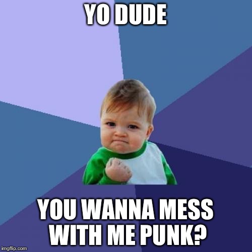 Success Kid Meme | YO DUDE; YOU WANNA MESS WITH ME PUNK? | image tagged in memes,success kid | made w/ Imgflip meme maker
