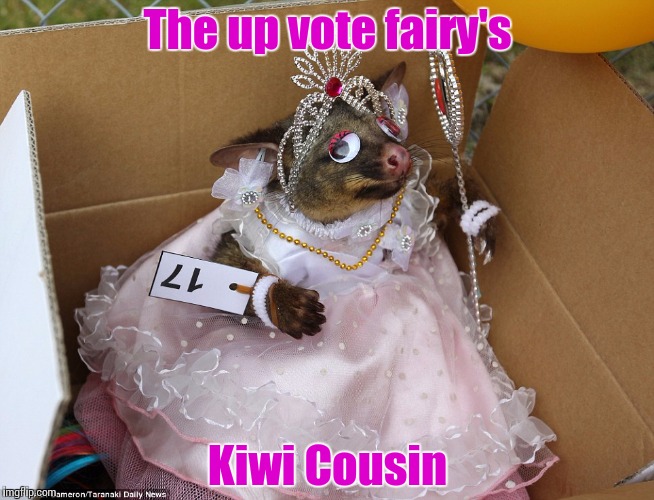 Further attempt to raise NZ's Profile on Imgflip | The up vote fairy's; Kiwi Cousin | image tagged in dead_possum,upvote fairy,new zealand,possum | made w/ Imgflip meme maker