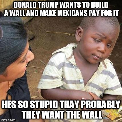 Third World Skeptical Kid Meme | DONALD TRUMP WANTS TO BUILD A WALL AND MAKE MEXICANS PAY FOR IT; HES SO STUPID THAY PROBABLY THEY WANT THE WALL | image tagged in memes,third world skeptical kid | made w/ Imgflip meme maker