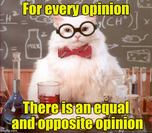 For every opinion There is an equal and opposite opinion | made w/ Imgflip meme maker