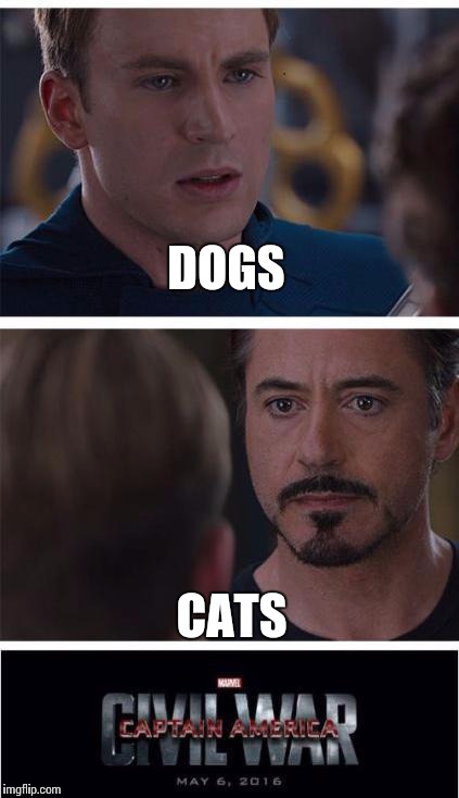 Marvel Civil War 1 | DOGS; CATS | image tagged in memes,marvel civil war 1 | made w/ Imgflip meme maker