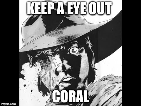 TWD Carl eye | KEEP A EYE OUT; CORAL | image tagged in twd carl eye | made w/ Imgflip meme maker