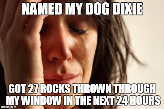 Dixie
 | NAMED MY DOG DIXIE; GOT 27 ROCKS THROWN THROUGH MY WINDOW IN THE NEXT 24 HOURS | image tagged in memes,first world problems | made w/ Imgflip meme maker