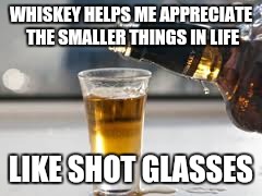 WHISKEY HELPS ME APPRECIATE THE SMALLER THINGS IN LIFE; LIKE SHOT GLASSES | image tagged in whiskey,shots | made w/ Imgflip meme maker
