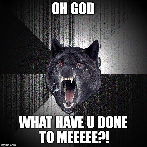 Insanity Wolf | OH GOD; WHAT HAVE U DONE TO MEEEEE?! | image tagged in memes,insanity wolf | made w/ Imgflip meme maker