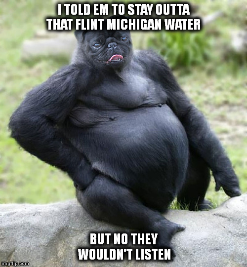 I TOLD EM TO STAY OUTTA THAT FLINT MICHIGAN WATER BUT NO THEY WOULDN'T LISTEN | made w/ Imgflip meme maker
