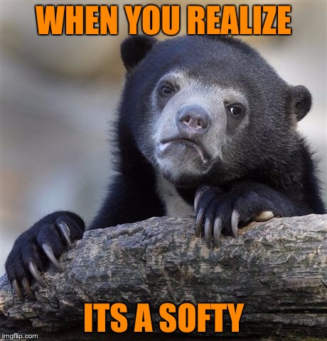 Confession Bear | WHEN YOU REALIZE; ITS A SOFTY | image tagged in memes,confession bear | made w/ Imgflip meme maker