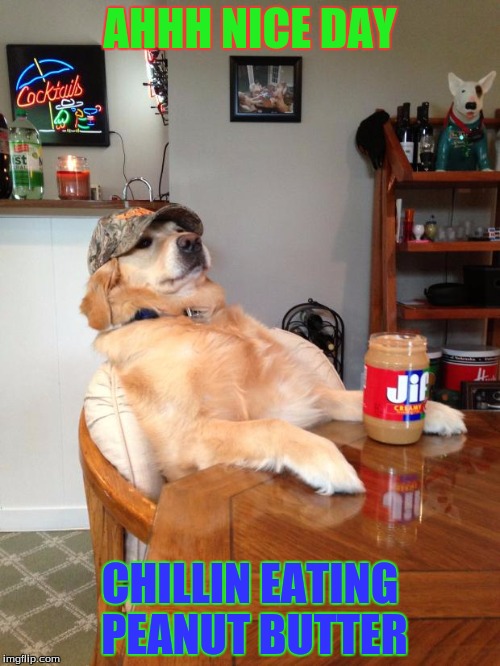 redneck dog | AHHH NICE DAY; CHILLIN EATING PEANUT BUTTER | image tagged in redneck dog | made w/ Imgflip meme maker