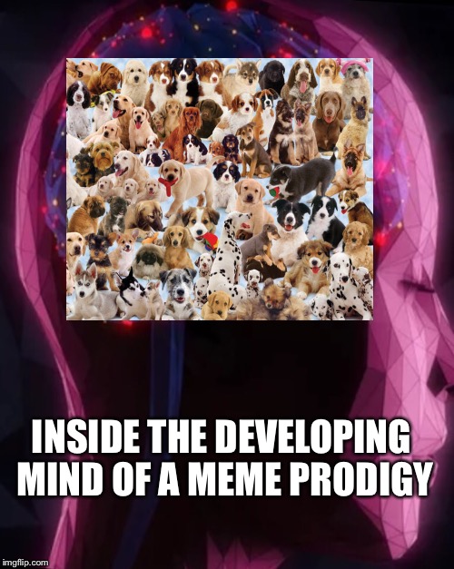 Childhood Development  | INSIDE THE DEVELOPING MIND OF A MEME PRODIGY | image tagged in raydog | made w/ Imgflip meme maker